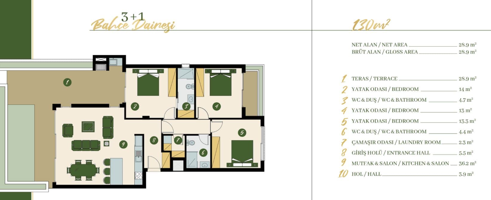 Olive Court – Grundriss 1